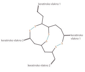 Strukturna formula keratina s disulfidnim vezama